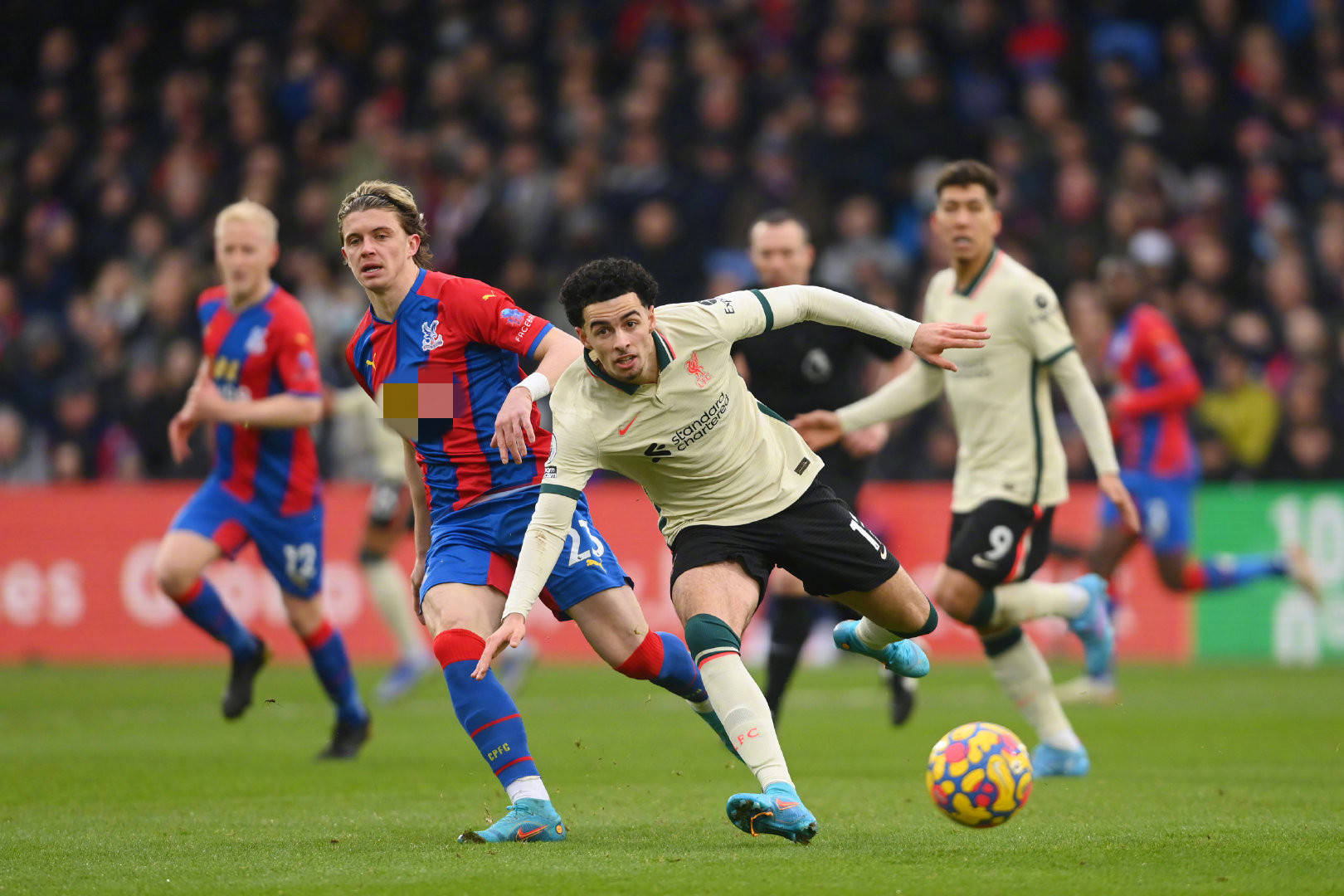 皇家贝蒂斯 皇家贝蒂斯